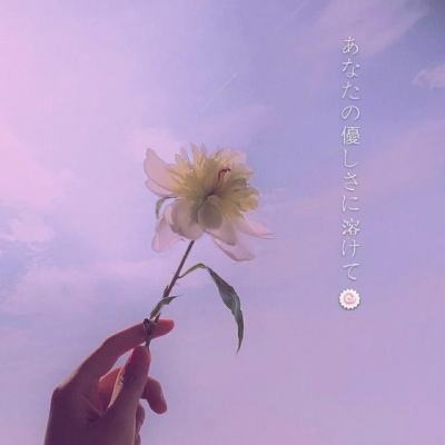 星陨传说流浪者的故事国际服下载